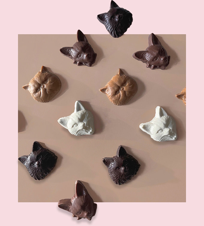 Cat bon bon chocolat（Beige）